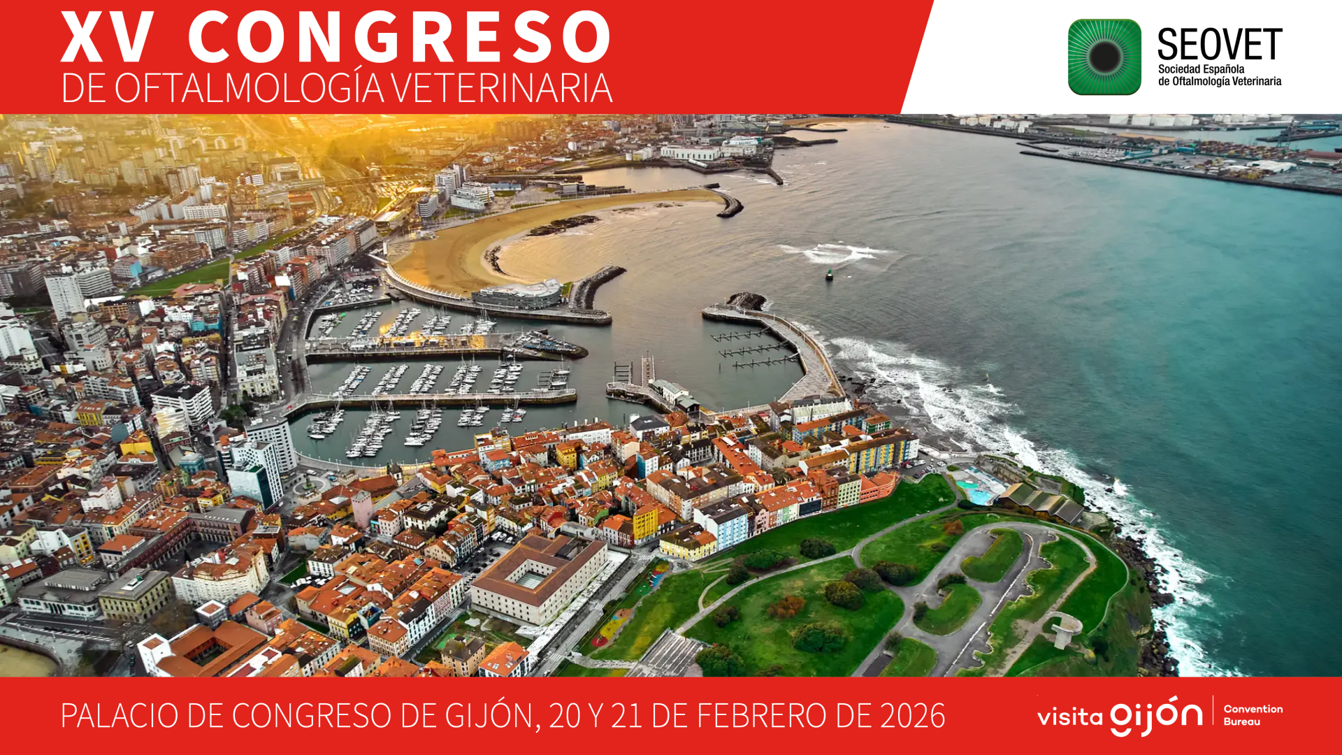 XV CONGRESO DE OFTALMOLOGÍA VETERINARIA