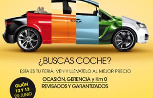 VIII SALÓN DEL VEHÍCULO DE OCASIÓN DE ASTURIAS