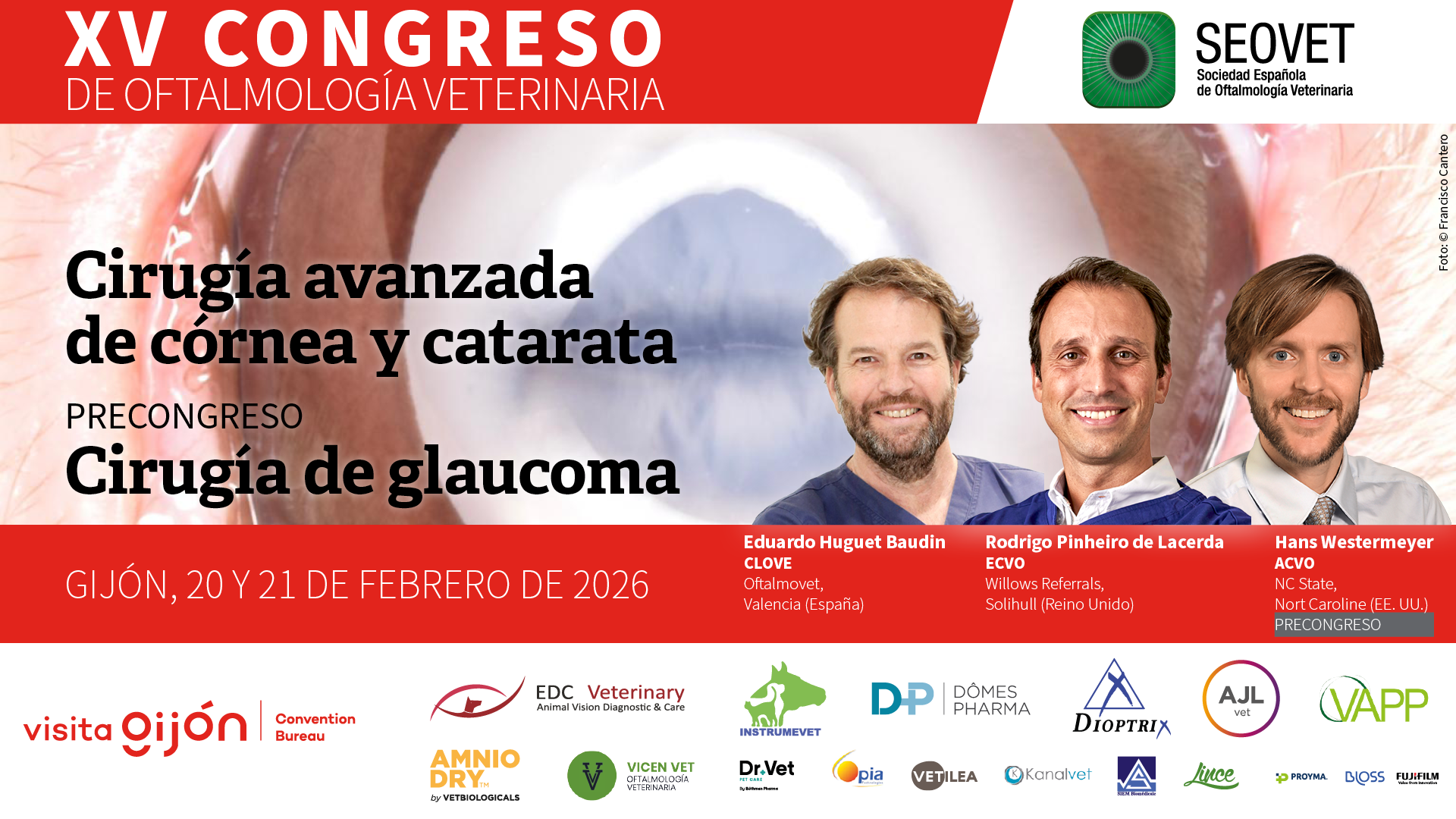 XV CONGRESO DE OFTALMOLOGÍA VETERINARIA 