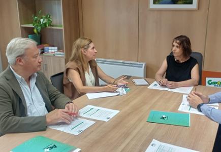 Asturias Emprende, en la que se integra el Vivero de Empresas de la Cámara de Comercio de Gijón, renueva su junta directiva