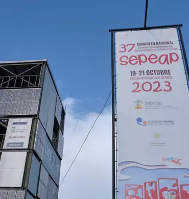 37 Congreso de la SEPEAP 